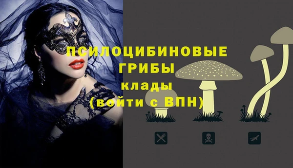 эйфоретик Семилуки