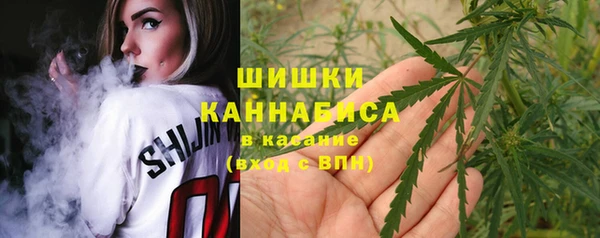 молекула духа Семикаракорск